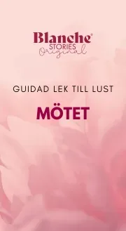 Mötet till Wordpress mobil