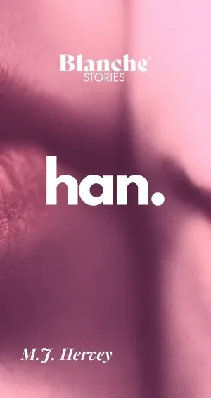 han. till dator wordpress