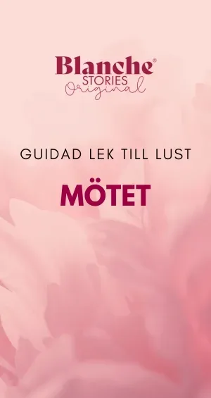 mötet till dator wordpress